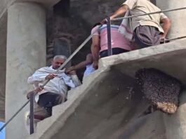 पानी की टंकी पर चढ़े युवक को उतारने पहुंची पुलिस पर मधुमक्खियों का हमला