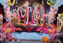 राधा-दामोदर मंदिर में सजी शेषनाग अमरनाथ की झांकी