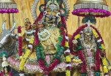 पीत-गुलाबी पोशाक में सजेगी राधारानी: 19 को गोविंददेवजी मंदिर में विशेष उत्सव Special celebration at Govind Dev Ji Temple on the 19th.