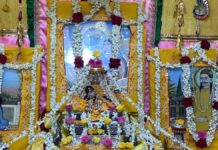 श्री सरस निकुंज में आचार्य महाप्रभु श्री श्यामचरणदास जी का 324वां जयंती महोत्सव शुरू
