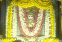 श्याम पार्क में सजा बाबा श्याम का अलौकिक दरबार