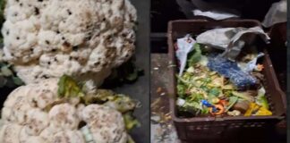 शेखावाटी ढाबा के किचन में मिली गंभीर अनियमितताएं: सड़ी-गली सब्जियों से बनाई जा रही थी ग्रेवी Serious irregularities found in Shekhawati Dhaba's kitchen.