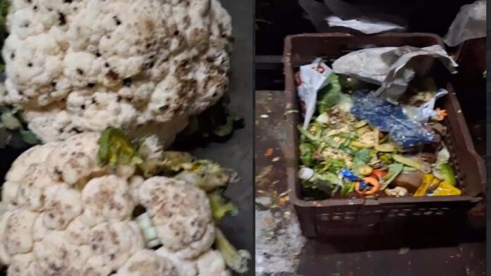 Serious irregularities found in Shekhawati Dhaba's kitchen. Serious irregularities found in Shekhawati Dhaba's kitchen.