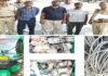 गोदामों में नकबजनी करने वाला गिरोह चढा पुलिस के हत्थे Gang involved in warehouse burglaries nabbed by police.