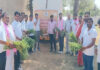 बंशीधर गोशाला में श्री श्याम गौ सेवा परिवार समिति का सेवा महायज्ञ