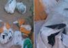सीमापार से ड्रोन के जरिए गिराए हथियार-विस्फोटक, पंजाब के दो युवक गिरफ्तार Weapons and explosives dropped via drones from across the border.