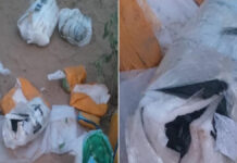 सीमापार से ड्रोन के जरिए गिराए हथियार-विस्फोटक, पंजाब के दो युवक गिरफ्तार Weapons and explosives dropped via drones from across the border.