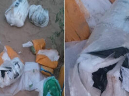 सीमापार से ड्रोन के जरिए गिराए हथियार-विस्फोटक, पंजाब के दो युवक गिरफ्तार Weapons and explosives dropped via drones from across the border.