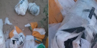 सीमापार से ड्रोन के जरिए गिराए हथियार-विस्फोटक, पंजाब के दो युवक गिरफ्तार Weapons and explosives dropped via drones from across the border.