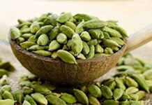 जयपुर जंक्शन पर करोड़ों की इलायची जब्त: 20 से 25 लाख की जीएसटी चोरी की आशंका