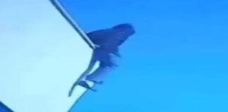 पूर्णिमा यूनिवर्सिटी की छठी मंजिल से कूदी एमबीए छात्रा की मौत MBA student dies after jumping from the sixth floor of Poornima University