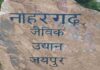 एक महीने बाद फिर शुरू हुई नाहरगढ़ की टाइगर-लॉयन सफारी