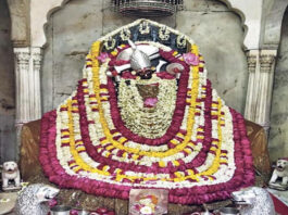 11 अक्टूबर से शारदीय नवरात्र: हाथी पर सवार होकर आएंगी मां दुर्गा
