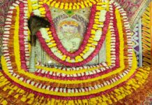 एकादशी पर श्याम पार्क में सजा बाबा श्याम का अनुपम दरबार