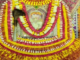 एकादशी पर श्याम पार्क में सजा बाबा श्याम का अनुपम दरबार