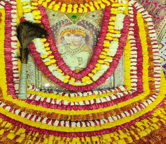 एकादशी पर श्याम पार्क में सजा बाबा श्याम का अनुपम दरबार