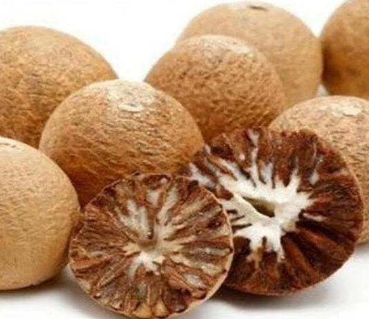 सुपारी: भारतीय संस्कृति की अमिट पहचान- ज्योतिषाचार्य वेद प्रकाश पांडे