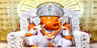 शरद पूर्णिमा पर चांदी के सफेद मुकुट से दमके गणेशजी: सफेद फूलों से सजा भव्य फूल बंगला