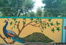 जयपुर की 617 दीवारों पर उकेरेंगे लोककला के रंग: शुरू हुआ ‘रंग दे गुलाबी 2.0’